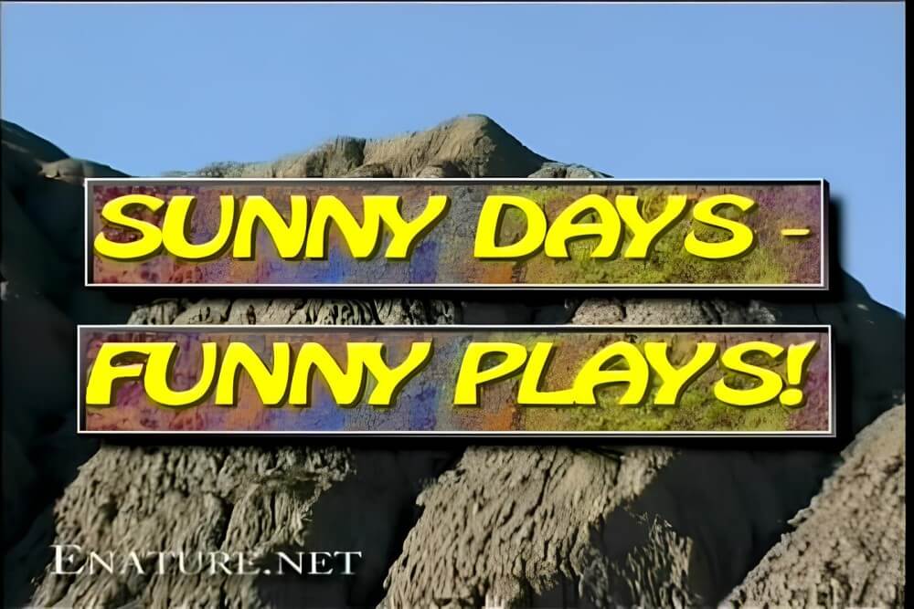 Enature - Sunny Days – Funny Plays - Social Nudism Around the World