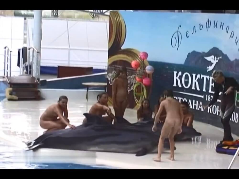 Relaxing at the dolphinarium - Naturism and environmental awareness in the modern world