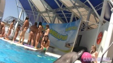 Amazing Dolphin Encounter HD video - A resort for nature lovers