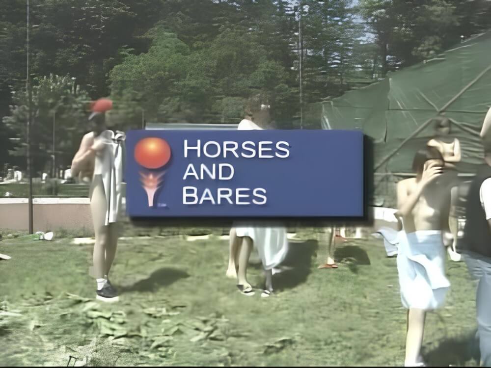 Horses and Bares - It values inner balance and peace of mind